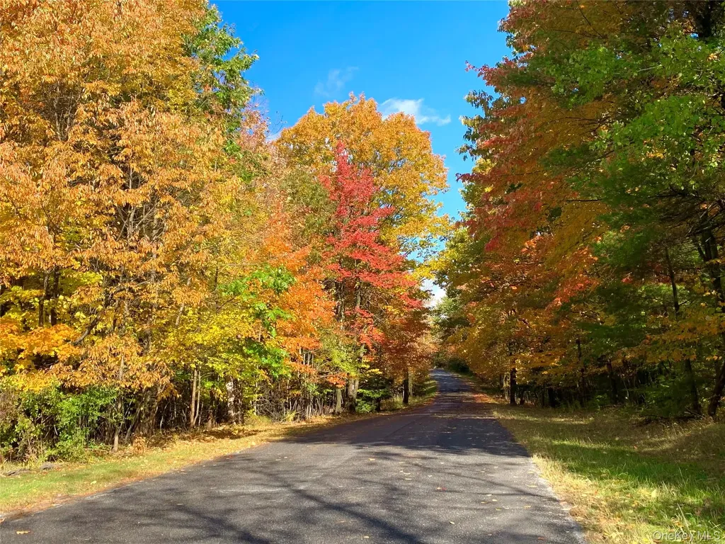 477 Campbell Road Windham NY 12407
