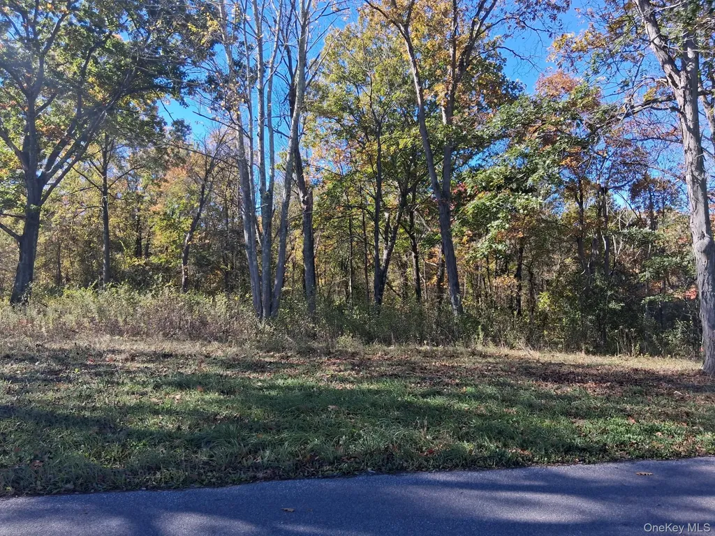 South Road Germantown NY 12526