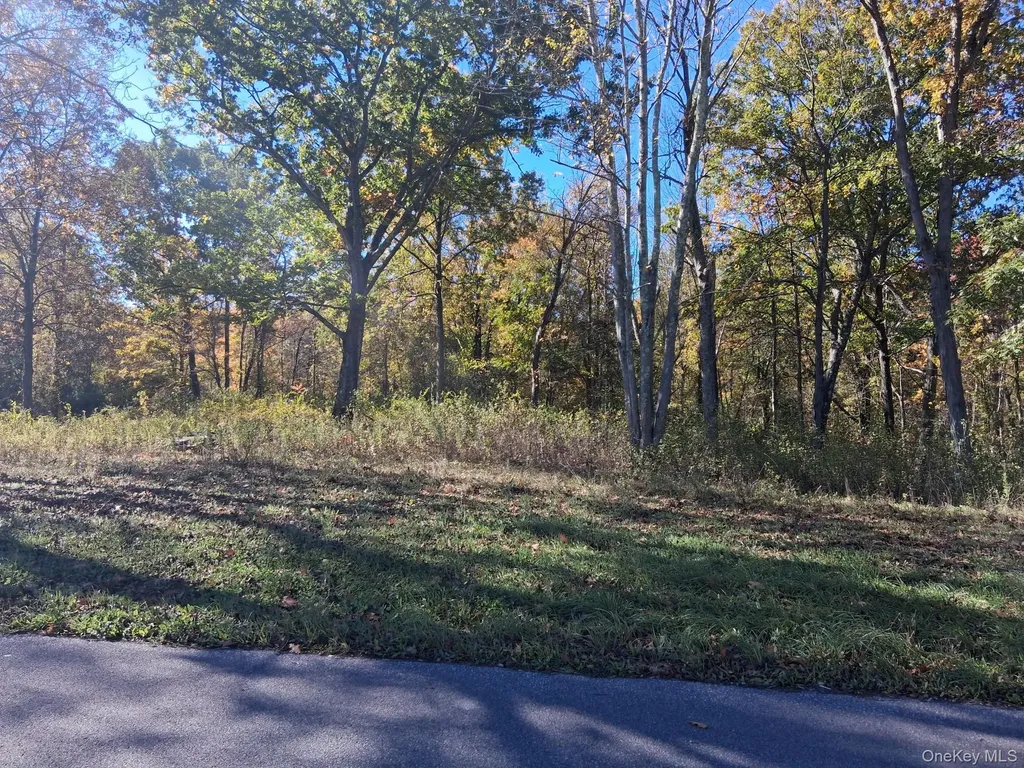South Road Germantown NY 12526