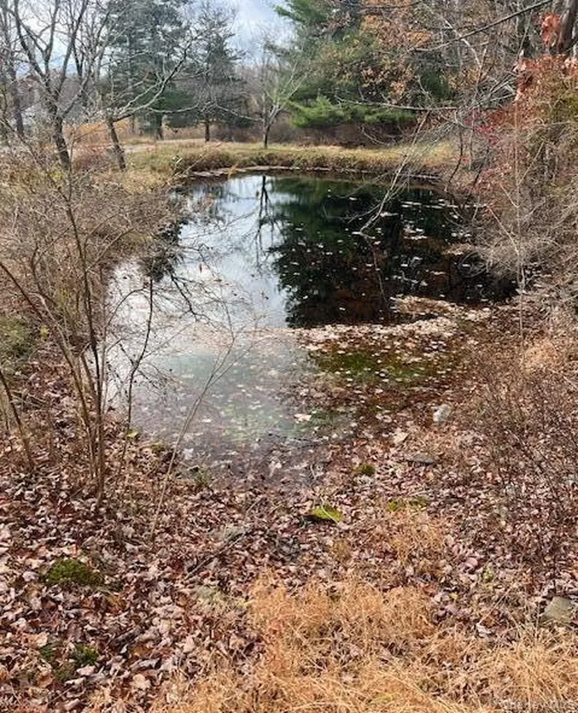 252 Upper Samsonville Road Olivebridge NY 12461