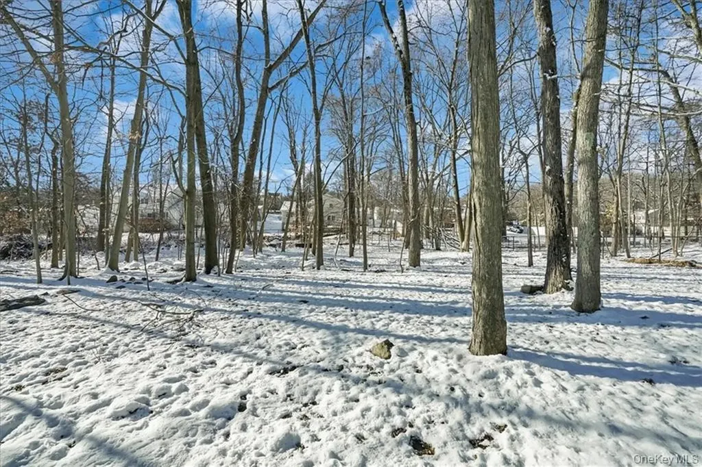 36 Ironworks Road Monroe NY 10950