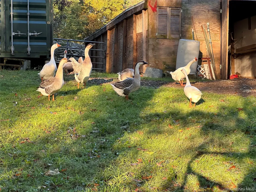 355 Fosler Road Wallkill NY 12589