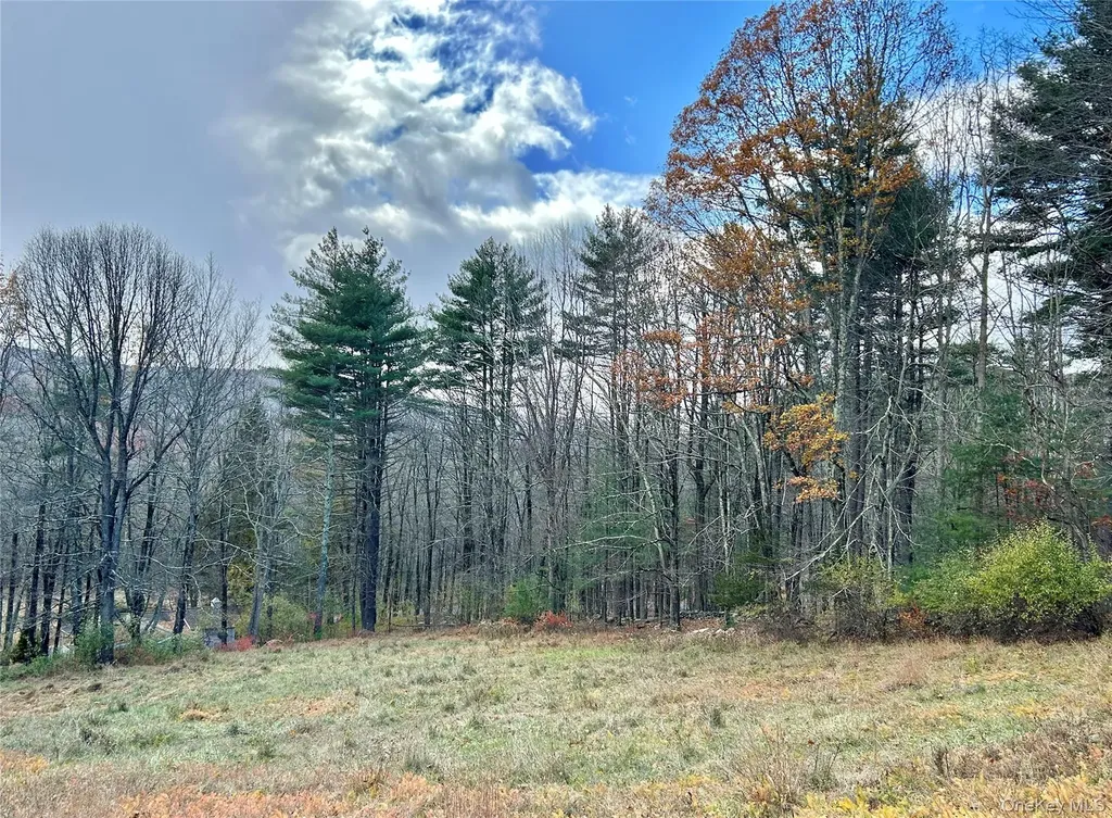 335 Tempaloni Road Spring Glen NY 12483