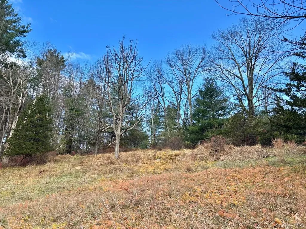 335 Tempaloni Road Spring Glen NY 12483