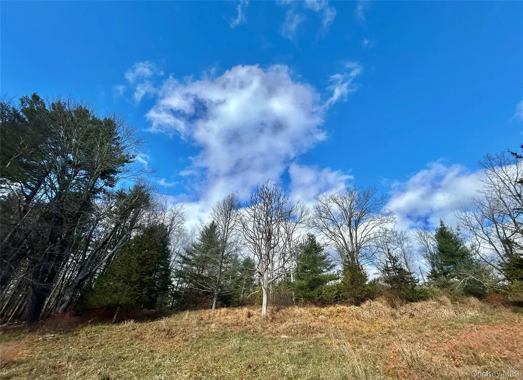 335 Tempaloni Road Spring Glen NY 12483