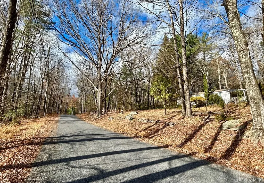 335 Tempaloni Road Spring Glen NY 12483