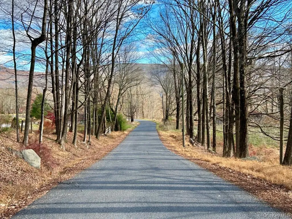 335 Tempaloni Road Spring Glen NY 12483