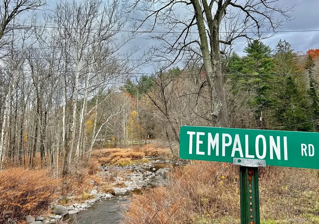 335 Tempaloni Road Spring Glen NY 12483