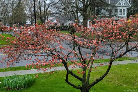 361 Albany Avenue Kingston NY 12401