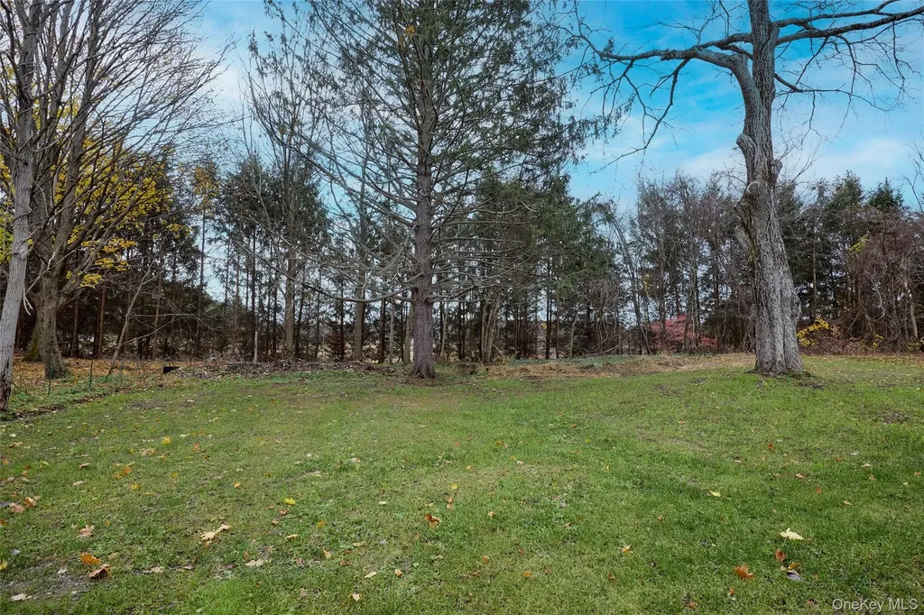 30 Myrtle Avenue Pine Plains NY 12567