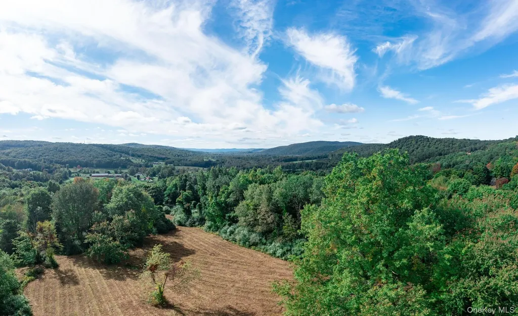 Brush Hill Road Millbrook NY 12545