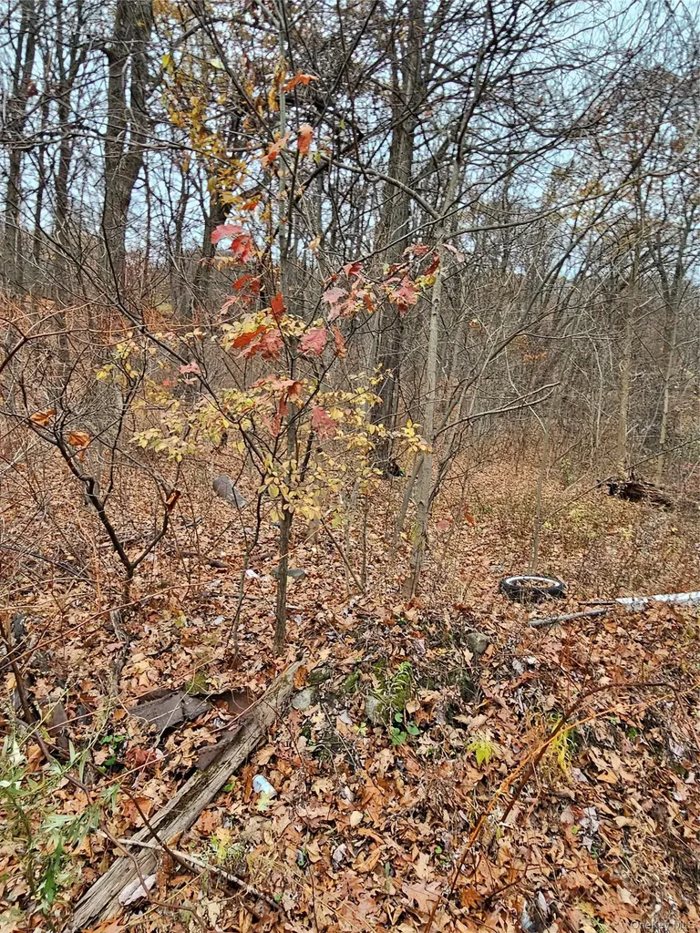 73 Sylvan Trail Blooming Grove NY 10950