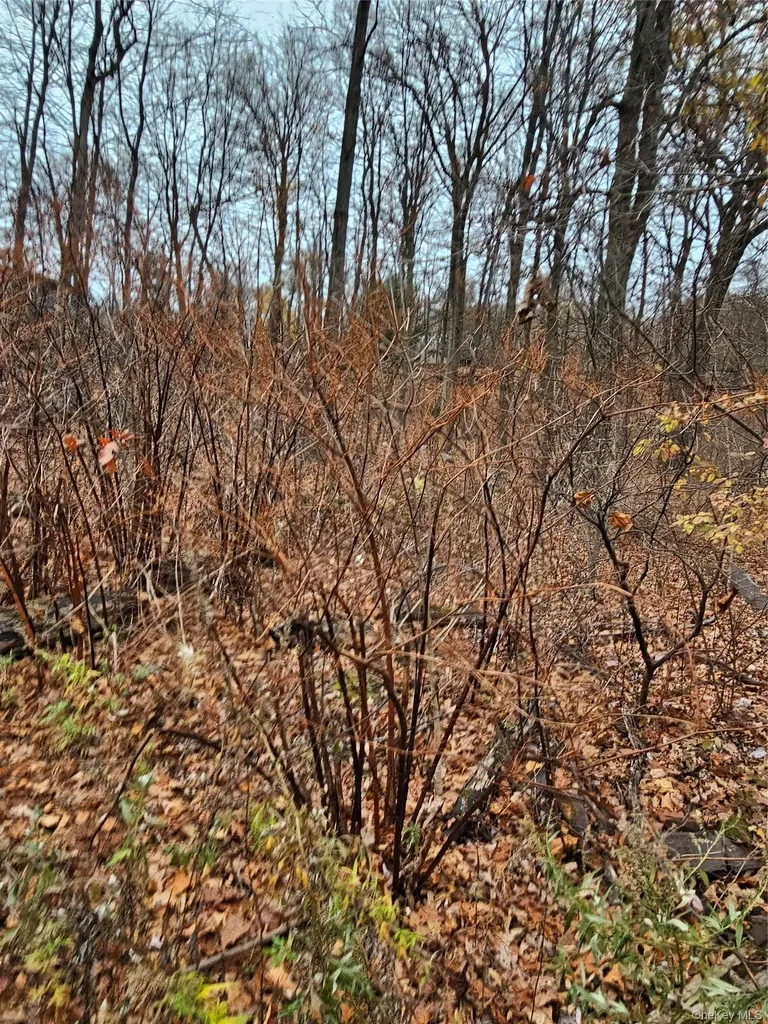 73 Sylvan Trail Blooming Grove NY 10950