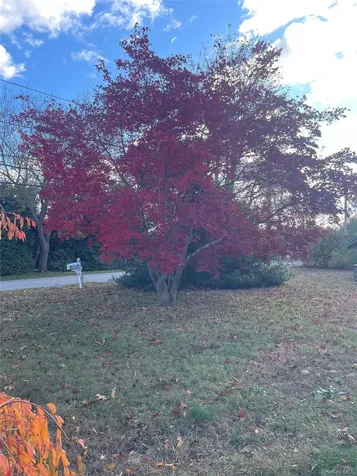 8 Atlantic Avenue Blue Point NY 11715