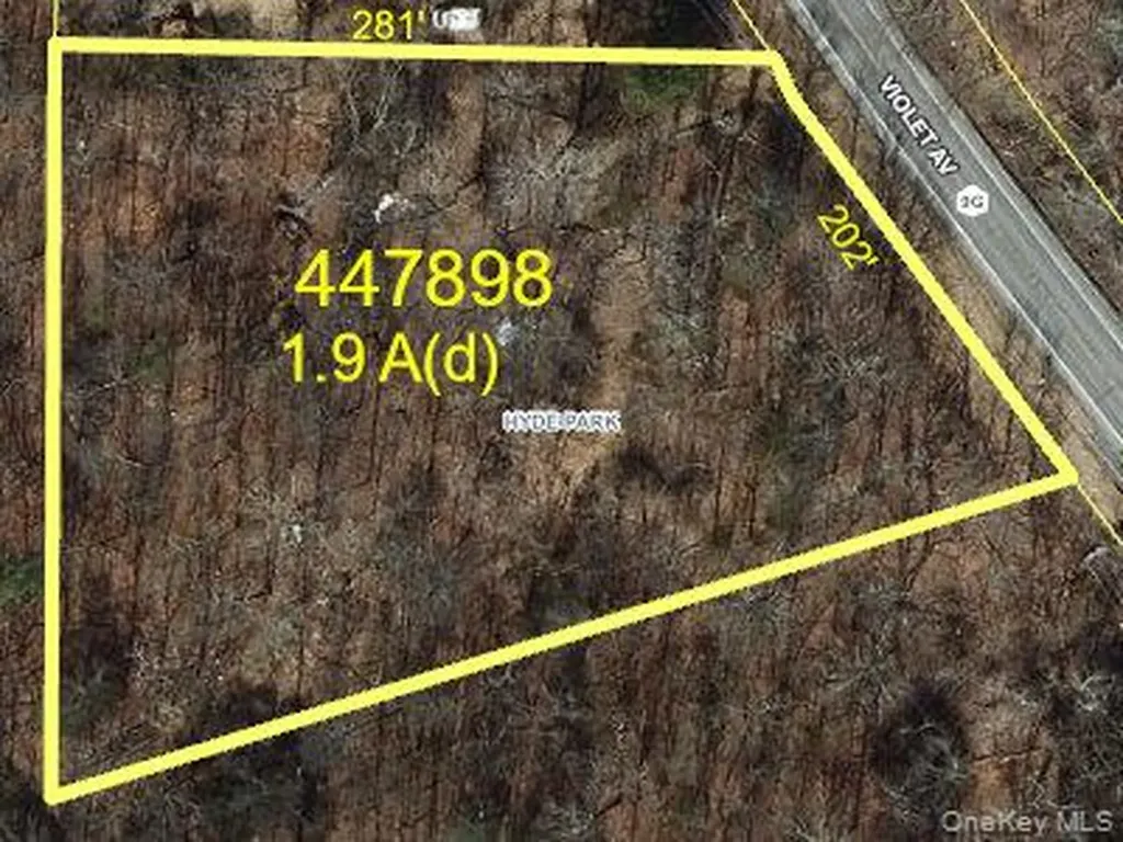 999 Violet Avenue Hyde Park NY 12538