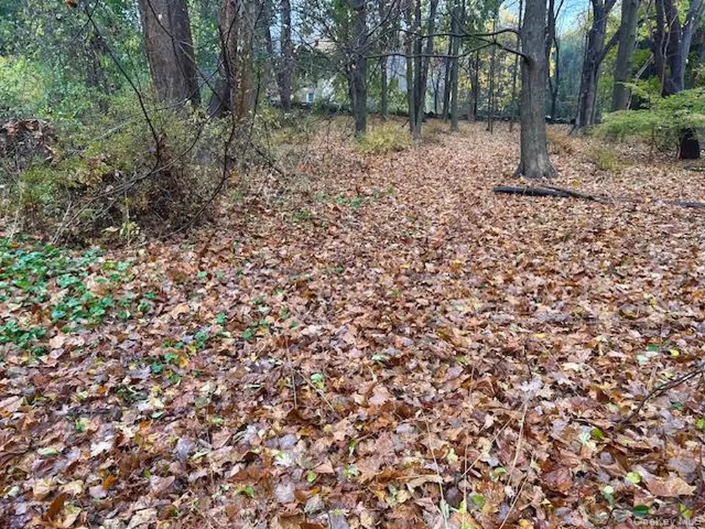 252 Milltown Brewster NY 10509