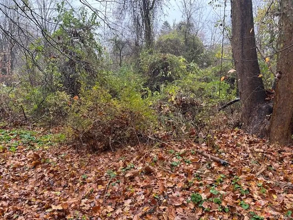 252 Milltown Brewster NY 10509