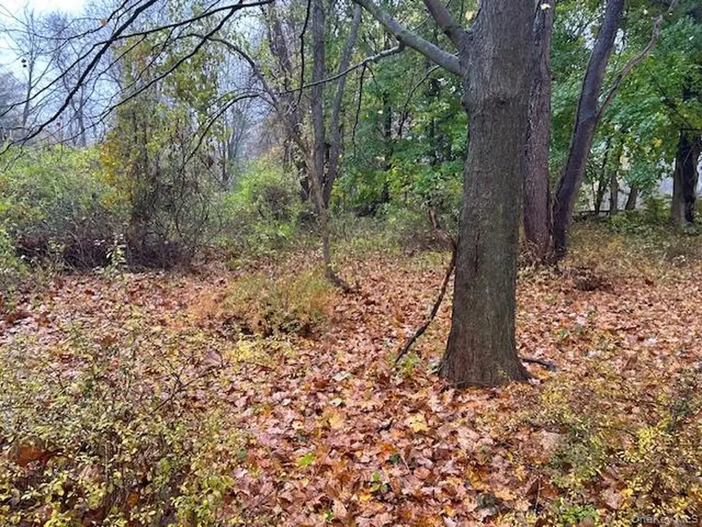 252 Milltown Brewster NY 10509