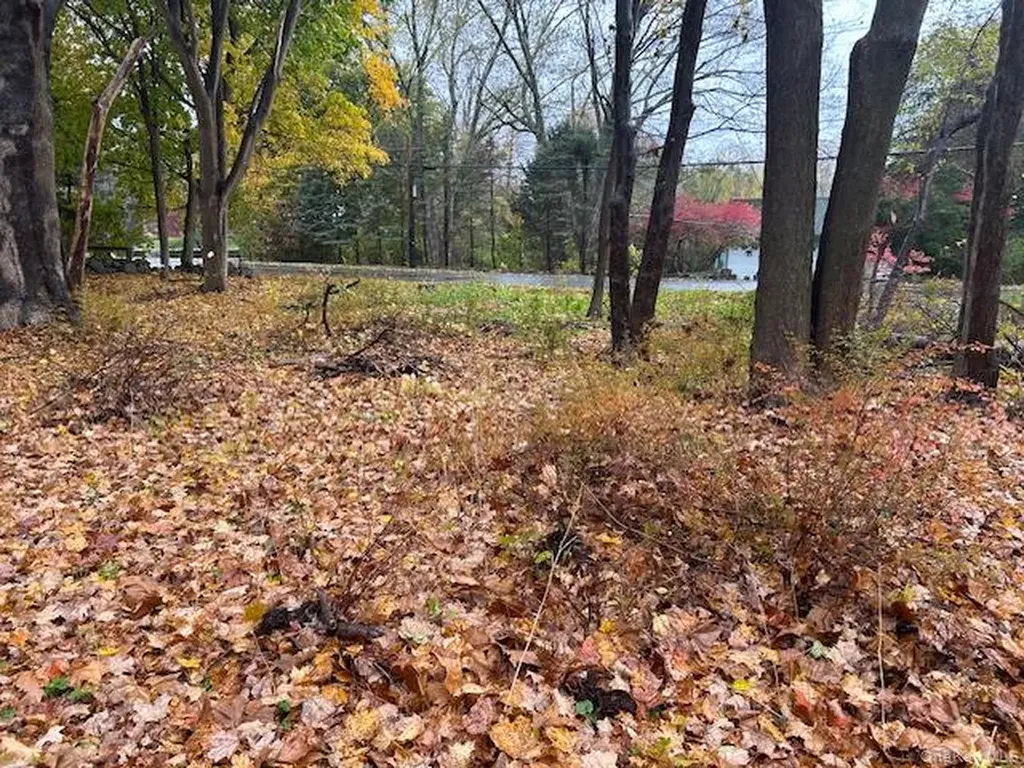 252 Milltown Brewster NY 10509