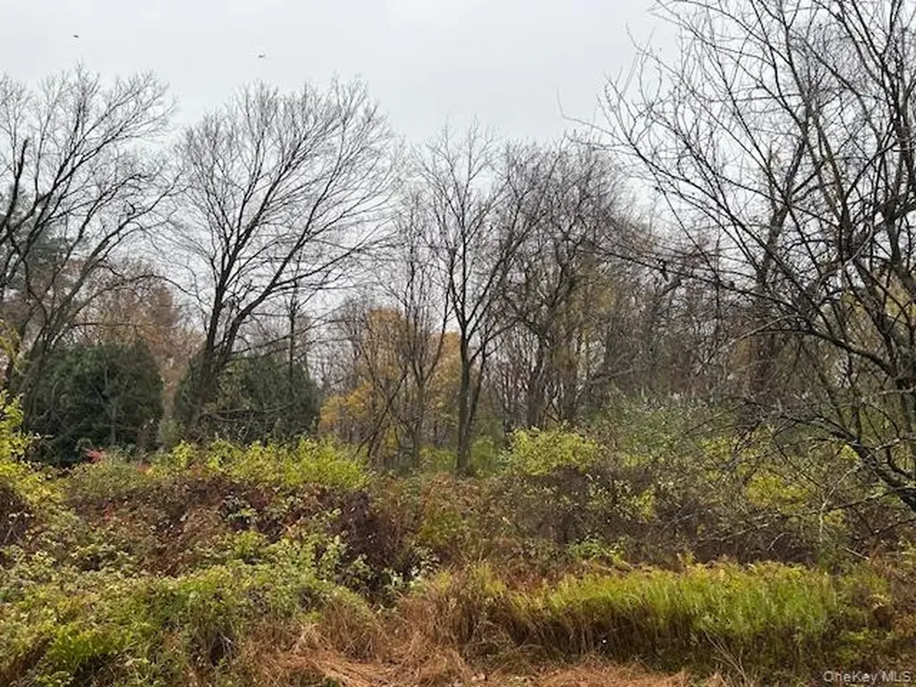 252 Milltown Brewster NY 10509