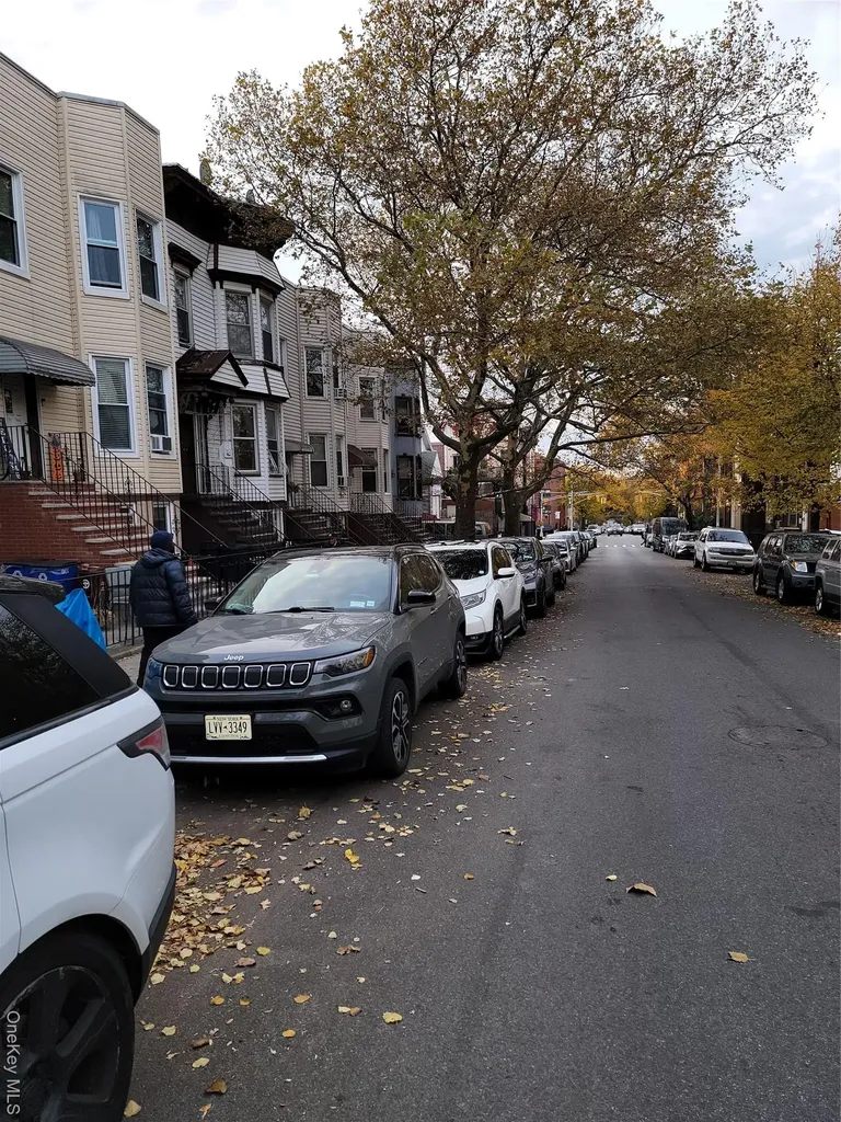 430 46th Street Brooklyn NY 11220