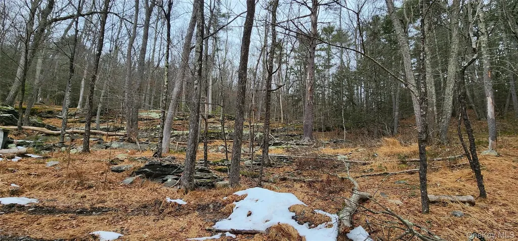 Rustic Hill Road Wurtsboro NY 12790