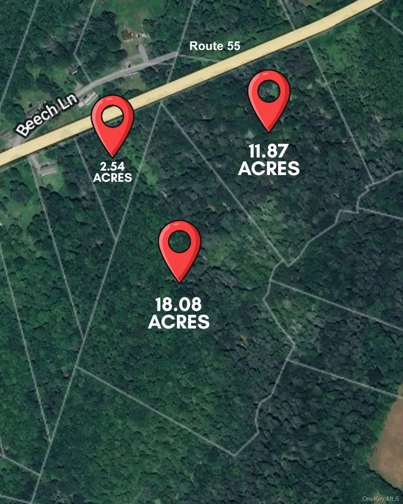 3 Lots Neversink Road Liberty NY 12754