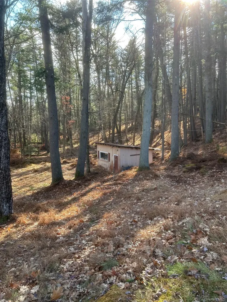65 Eldred Yulan Road Eldred NY 12732