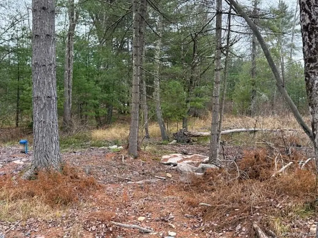 2757 State Route 42 Forestburgh NY 12777