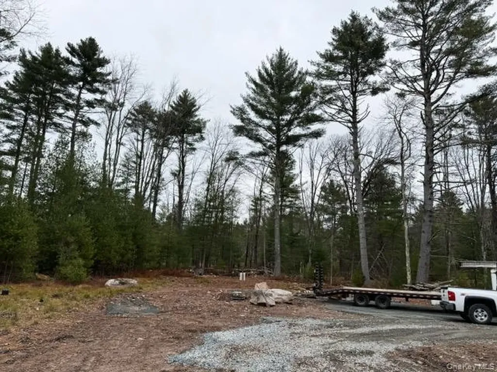 2757 State Route 42 Forestburgh NY 12777