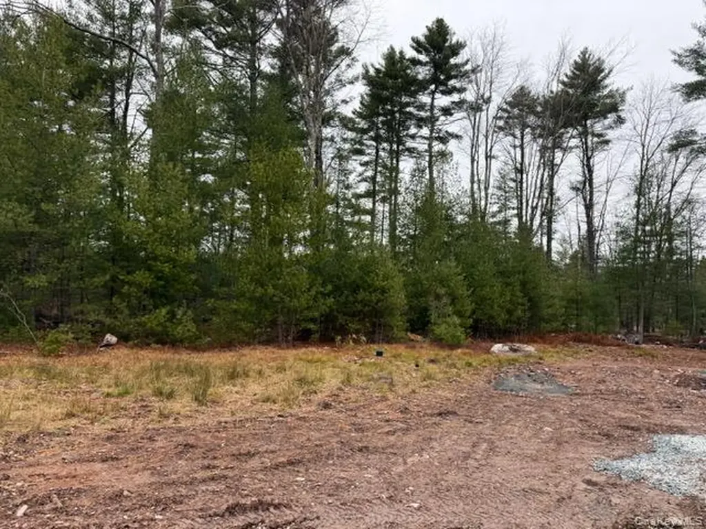 2757 State Route 42 Forestburgh NY 12777