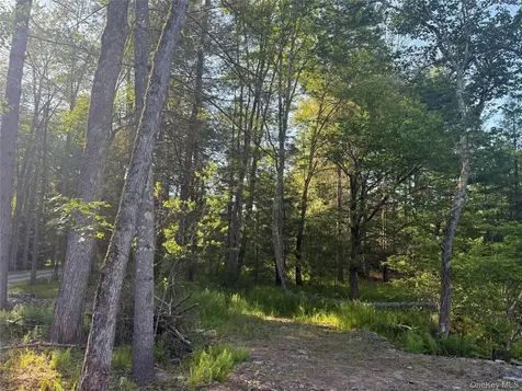2757 State Route 42 Forestburgh NY 12777