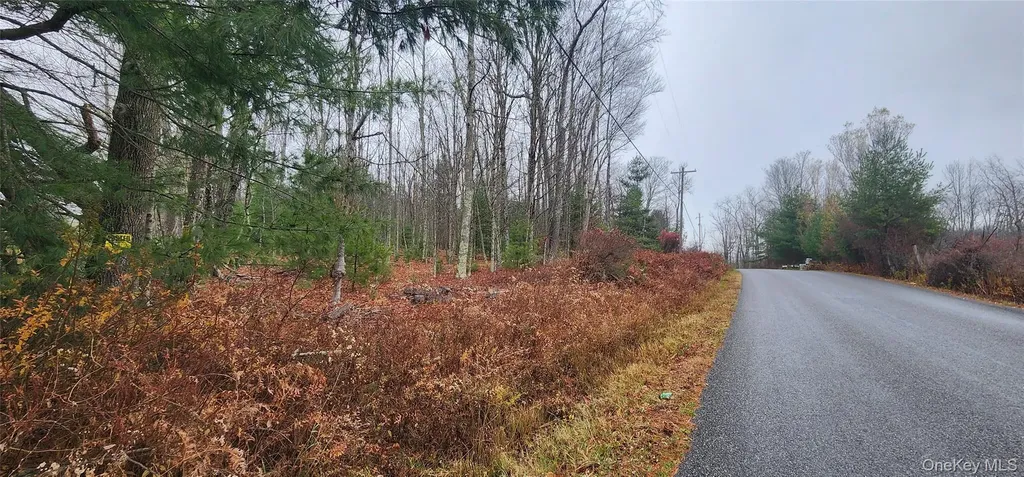 Thompson Road Thompsonville NY 12784