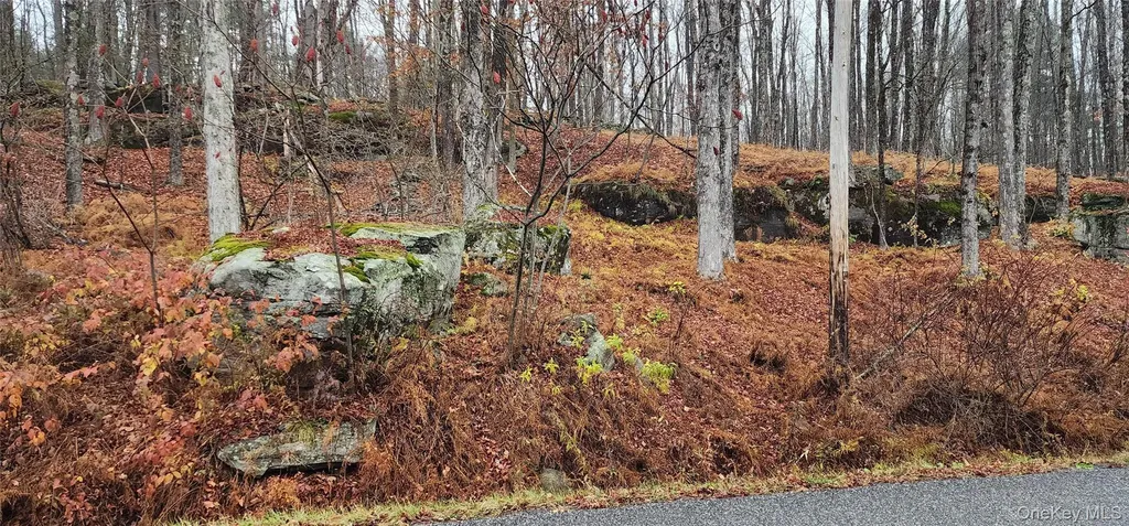 Thompson Road Thompsonville NY 12784