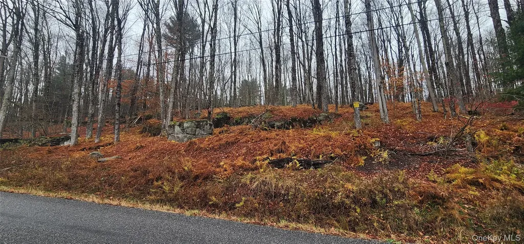 Thompson Road Thompsonville NY 12784