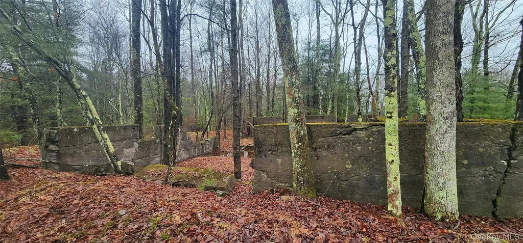 Thompson Road Thompsonville NY 12784
