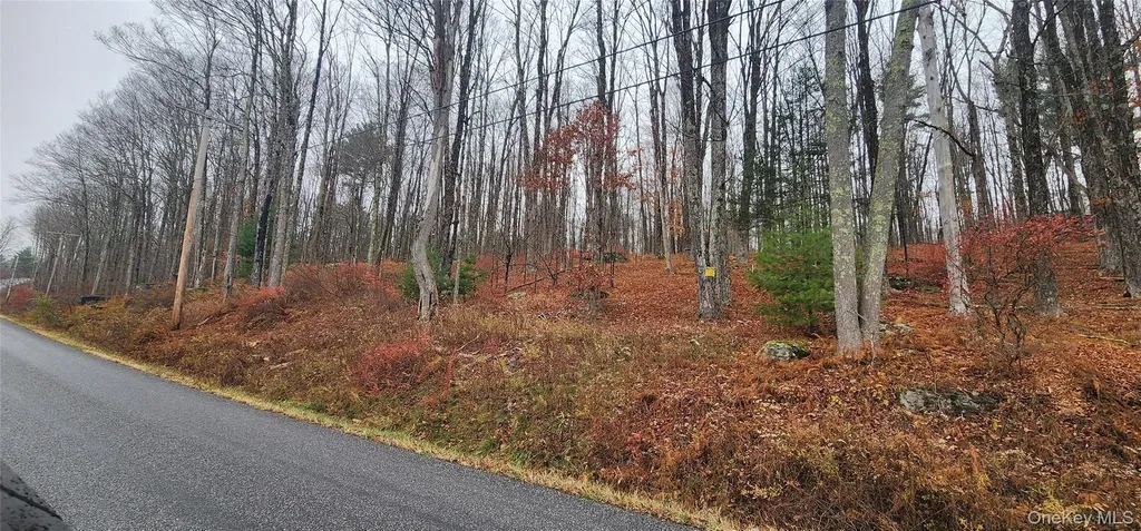 Thompson Road Thompsonville NY 12784