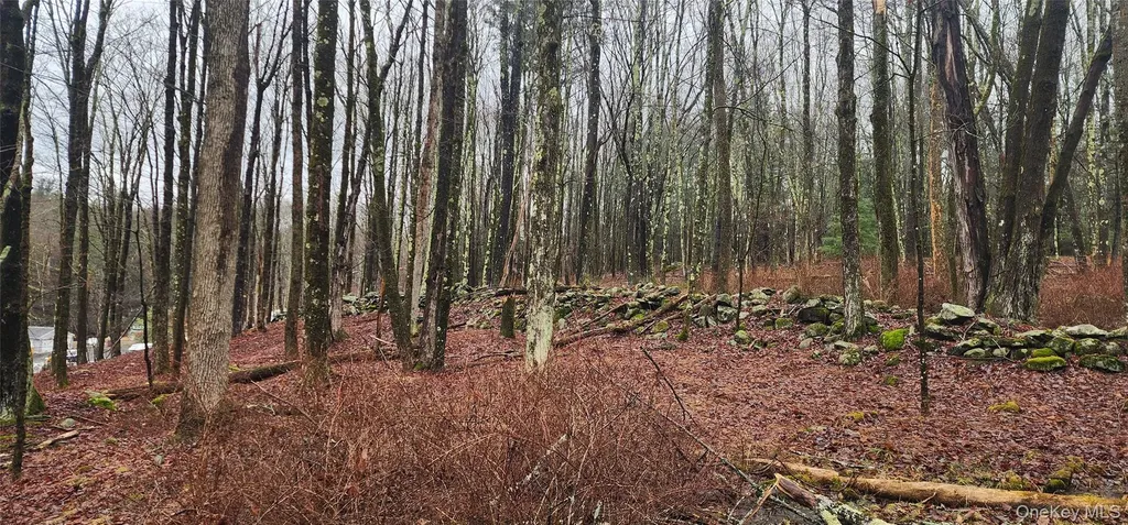 Thompson Road Thompsonville NY 12784