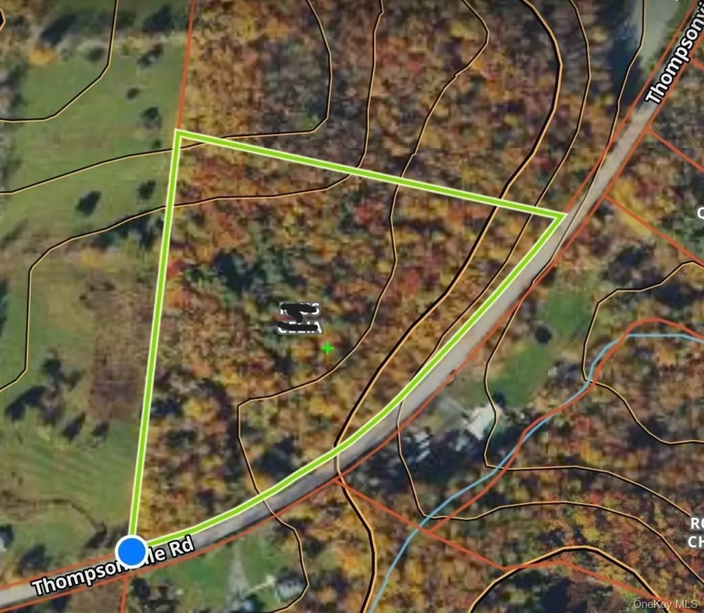 Thompson Road Thompsonville NY 12784