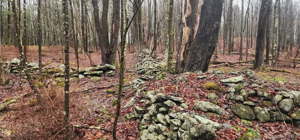 Thompson Road Thompsonville NY 12784