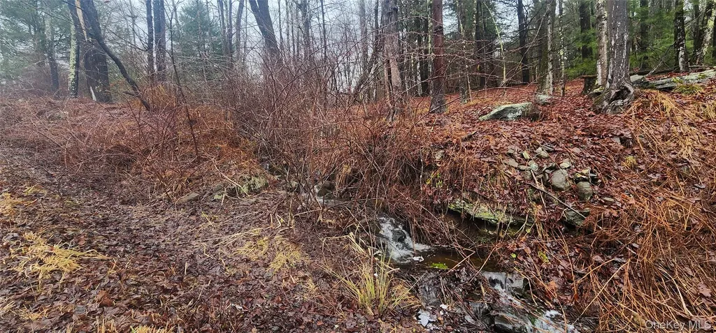 Thompson Road Thompsonville NY 12784