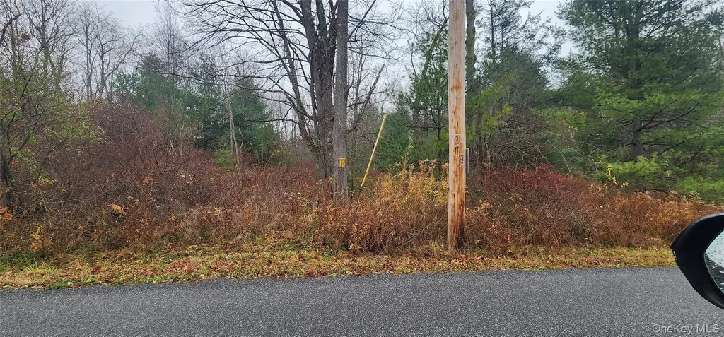 Thompson Road Thompsonville NY 12784