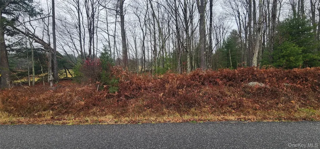 Thompson Road Thompsonville NY 12784