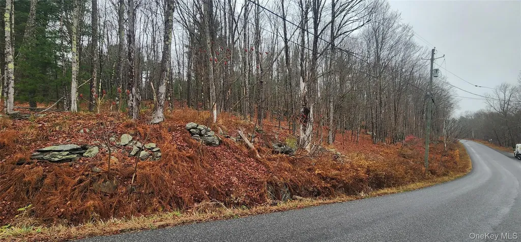 Thompson Road Thompsonville NY 12784