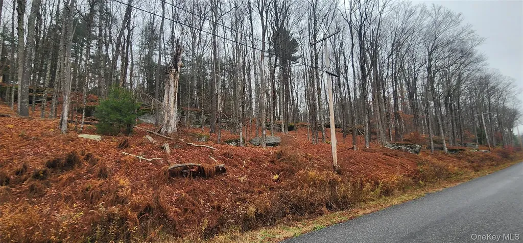 Thompson Road Thompsonville NY 12784