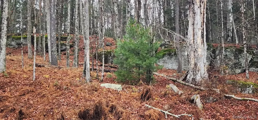 Thompson Road Thompsonville NY 12784