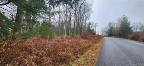 Thompson Road Thompsonville NY 12784