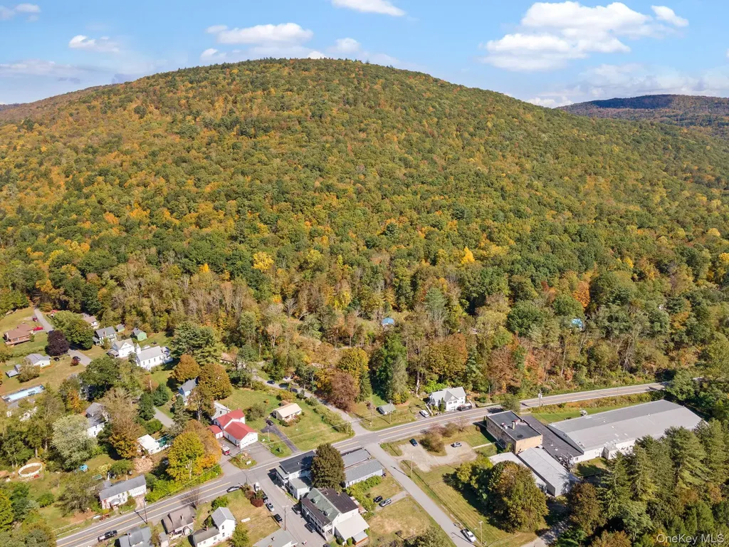 11625 State Route 97 Long Eddy NY 12760