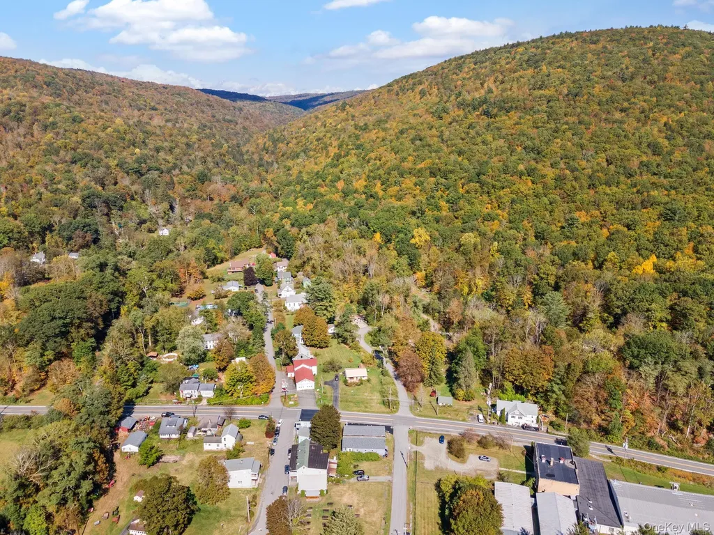 11625 State Route 97 Long Eddy NY 12760