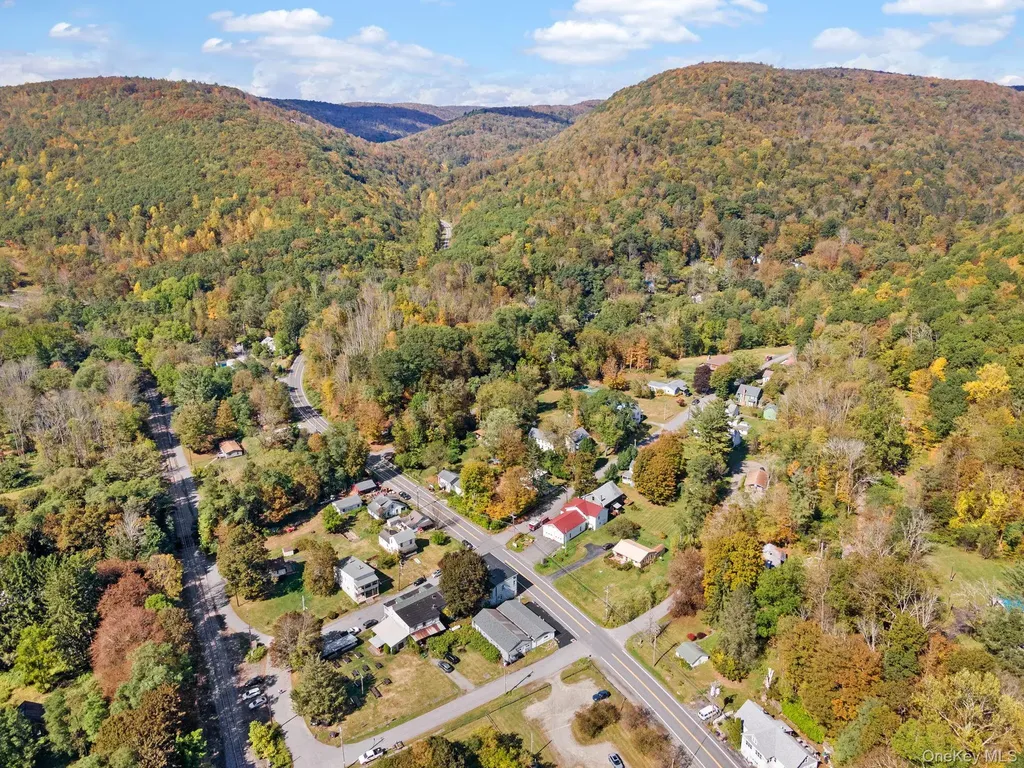 11625 State Route 97 Long Eddy NY 12760
